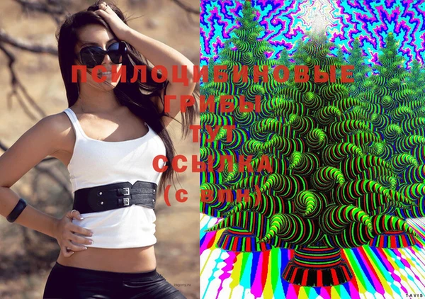 прущая мука Няндома
