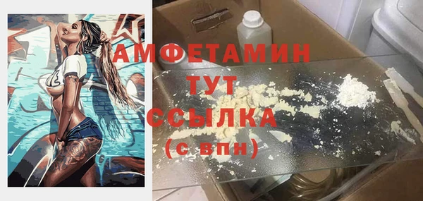 стафф Губаха