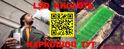 PSILOCYBIN Гай