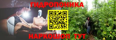 мдма Гатчина