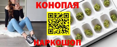 PSILOCYBIN Гай