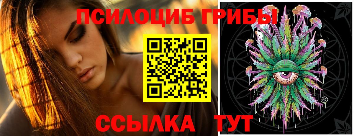 Галлюциногенные грибы Psilocybe  Псилоцибиновые грибы Psilocybe  Нягань  Вход с VPN 
