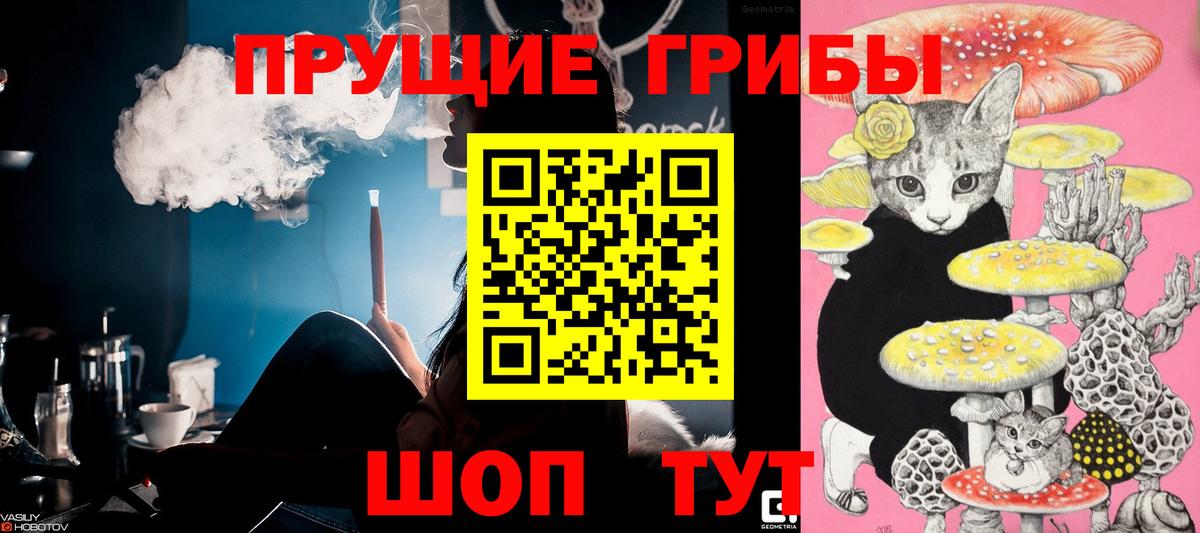 Галлюциногенные грибы Magic Shrooms Нягань